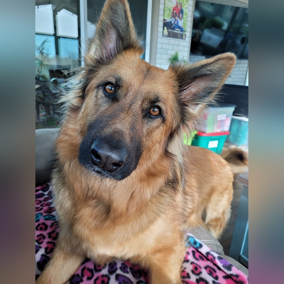 ReneeResellRack is LIVE@6 pm central💥$5 Unlisted NWT & preloved Women XS-3X - Picture 11 of 16